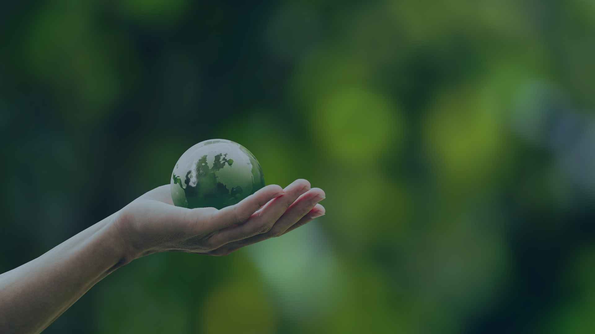 Please check API key