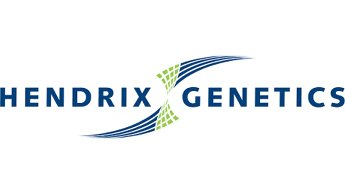 Kopie van Brandbook logovoorstel FSCL (1500 x 1500 px)